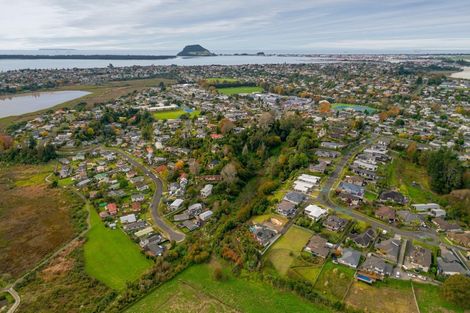 Photo of property in 264 Bellevue Road, Bellevue, Tauranga, 3110