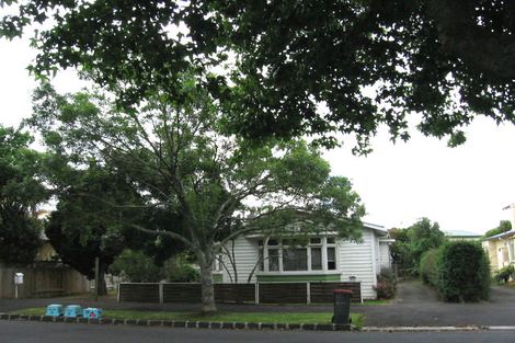 Photo of property in 14 Dignan Street, Point Chevalier, Auckland, 1022