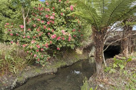 Photo of property in 12 Barrington Street, Somerfield, Christchurch, 8024