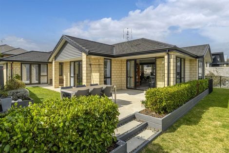 Photo of property in 11 Bernies Way, Ohauiti, Tauranga, 3112