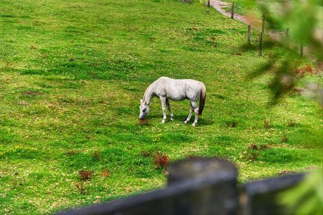 Photo of property in 1014 South Head Road, South Head, Helensville, 0874