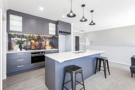 Photo of property in 117 John Burke Drive, Aotea, Porirua, 5024