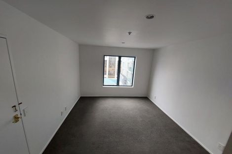 Photo of property in Courtenay Apartments, 604/120 Courtenay Place, Te Aro, Wellington, 6011