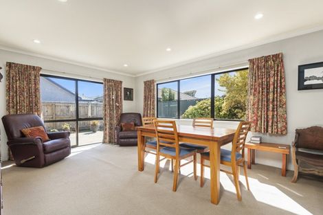 Photo of property in 19a Manson Street, Terrace End, Palmerston North, 4410