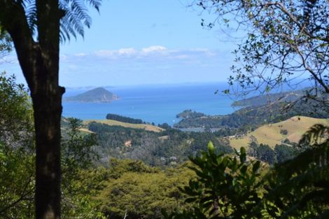 Photo of property in 1455 Buffalo Road, Coromandel, 3506