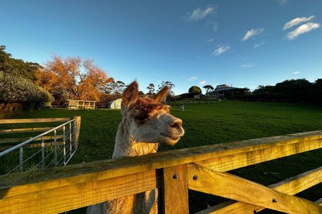 Photo of property in 499 Wainui Road South, Whakamarama, Tauranga, 3180