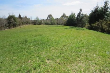 Photo of property in 3/130 Cement Lead Road, Blue Spur, Hokitika, 7882