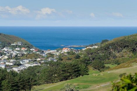 Photo of property in 27 Farnham Street, Mornington, Wellington, 6021