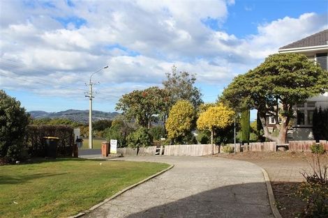 Photo of property in 119 Eglinton Road, Mornington, Dunedin, 9011