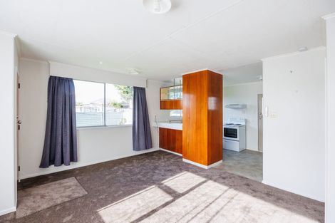 Photo of property in 101 Shamrock Street, Takaro, Palmerston North, 4412
