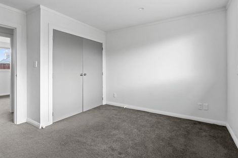 Photo of property in 87a Tiro Tiro Road, Levin, 5510