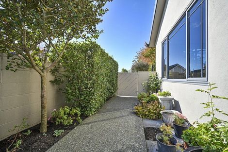 Photo of property in 4a Lindsay Street, Havelock North, 4130