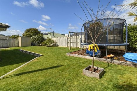 Photo of property in 3 Brackenburn Drive, Ohauiti, Tauranga, 3112