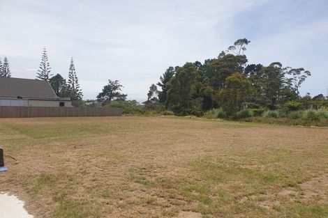 Photo of property in 106 Karearea Way, Matarangi, 3592