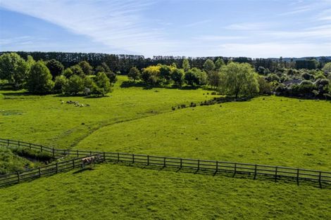 Photo of property in 45 Goldflats Lane, Coatesville, 0793