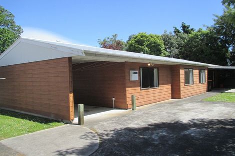Photo of property in 28a Worcester Street, West End, Palmerston North, 4410