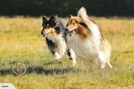 Photo of property in 298 Birch Hill Road, Okuku, Rangiora, 7473