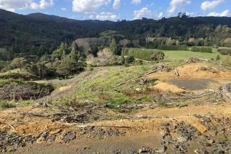 Photo of property in 1870 The 309 Road, Kaimarama, Whitianga, 3591