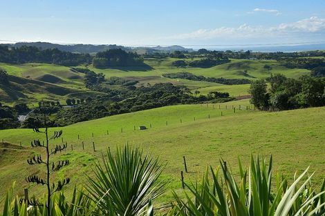 Photo of property in 21 Shine Road, South Head, Helensville, 0874