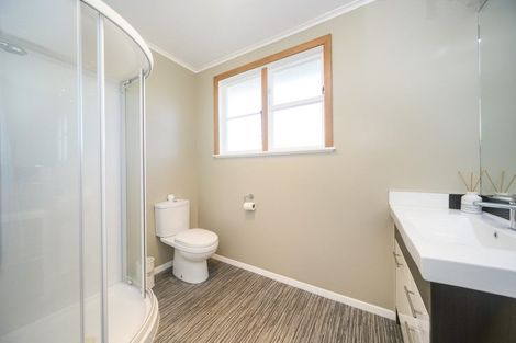 Photo of property in 20 Thames Street, Roslyn, Palmerston North, 4414