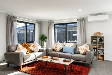 Photo of property in 259a Scott Street, Redwoodtown, 7201