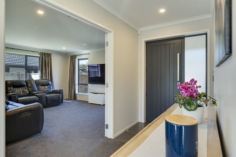 Photo of property in 38 Grigg Drive, Witherlea, Blenheim, 7201