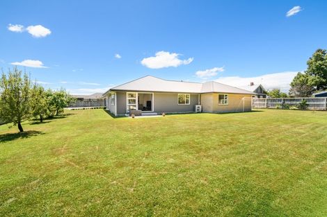 Photo of property in 9 Mahi Grove, Feilding, 4702