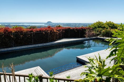 Photo of property in 16 Dawn View Place, Minden, Tauranga, 3176