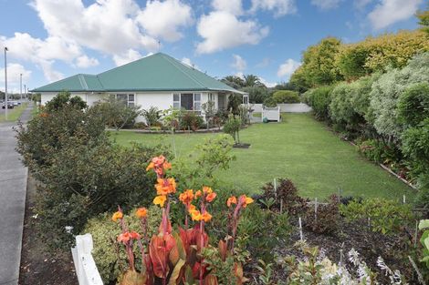 Photo of property in 151 North Street, Feilding, 4702