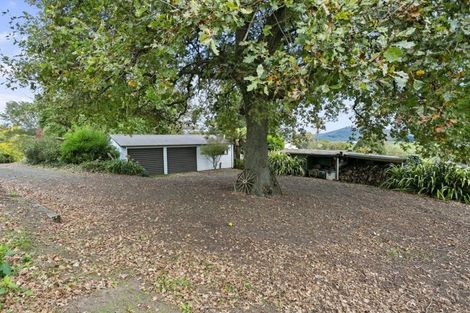 Photo of property in 2879 Arapuni Road, Pukeatua, 3880