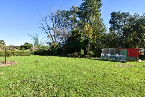 Photo of property in 55 Costley Street, Carterton, 5713