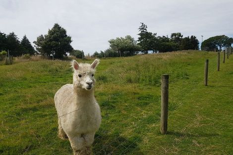 Photo of property in 16 Waiwera Gorge Road, Waiwera South, Clinton, 9584