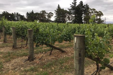 Photo of property in 1 Campbell Drive, Martinborough, 5711