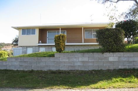 Photo of property in 20 Paehua Street, Omori, Turangi, 3381