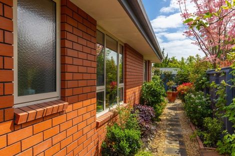 Photo of property in 12c Carvell Street, Blenheim, 7201