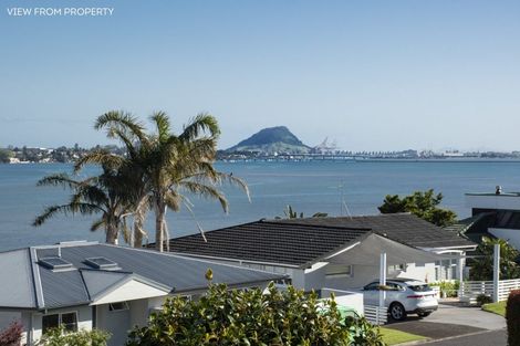 Photo of property in 34 Vine Avenue, Maungatapu, Tauranga, 3112