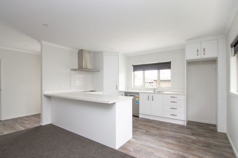 Photo of property in 315 Ruahine Street, Terrace End, Palmerston North, 4410