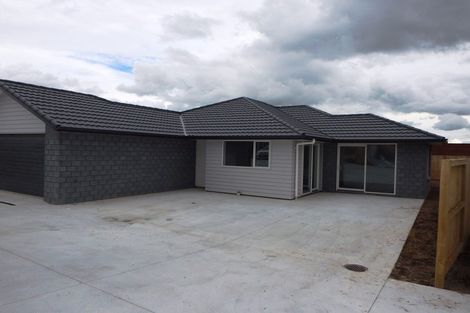 Photo of property in 100b Dinsdale Road, Dinsdale, Hamilton, 3204