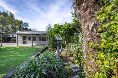 Photo of property in 27 Jervois Street, Dargaville, 0310