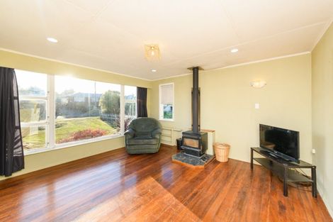 Photo of property in 17 Mcclure Street, Feilding, 4702