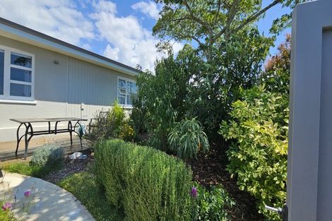 Photo of property in 155 Pillans Road, Otumoetai, Tauranga, 3110