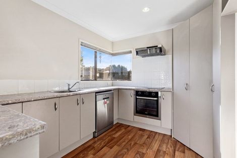 Photo of property in 109 Solomon Street, Brookfield, Tauranga, 3110