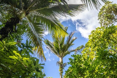 Photo of property in 121 Waihirere Drive, Tuateawa, Coromandel, 3583