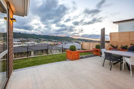 Photo of property in 84 John Burke Drive, Aotea, Porirua, 5024