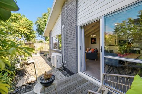 Photo of property in 2/19 Sixth Avenue, Tauranga, 3110