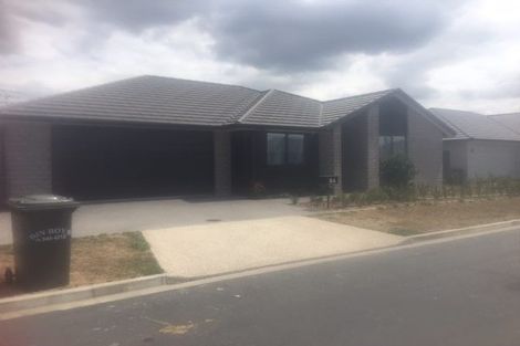 Photo of property in 24 Taffe Crescent, Pyes Pa, Tauranga, 3112
