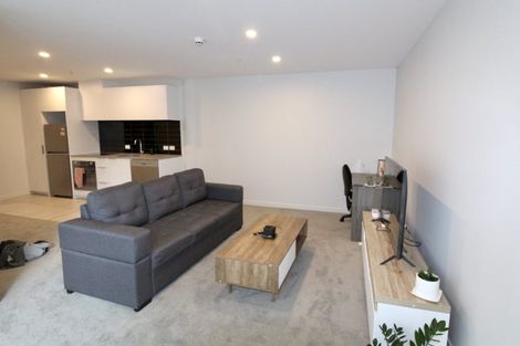 Photo of property in Pinnacle Apartments, W503/160 Victoria Street, Te Aro, Wellington, 6011