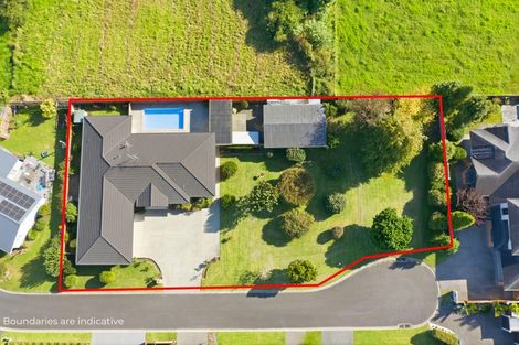 Photo of property in 6 O'connor Way, Bethlehem, Tauranga, 3110