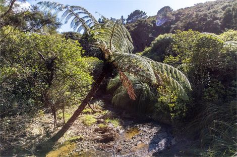 Photo of property in 1469 Pack Spur Road, Mataikona, Masterton, 5889