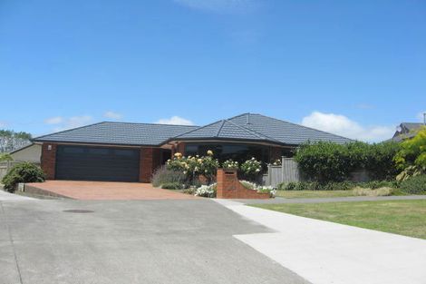 Photo of property in 20 Ursula Drive, Feilding, 4702